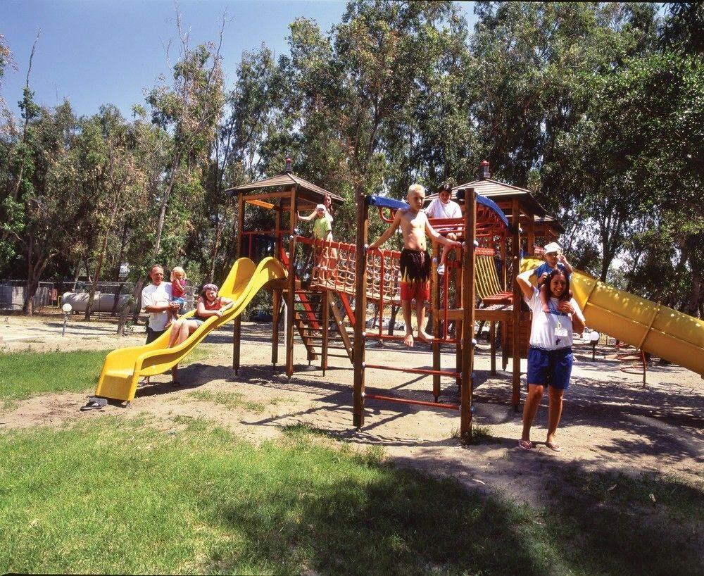 Calypso Palace Faliraki Dış mekan fotoğraf